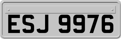 ESJ9976