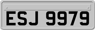ESJ9979