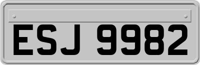 ESJ9982