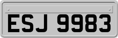 ESJ9983