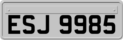 ESJ9985