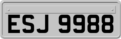ESJ9988