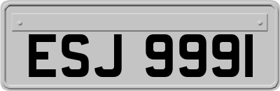 ESJ9991