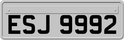 ESJ9992