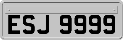 ESJ9999