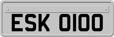 ESK0100