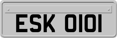 ESK0101