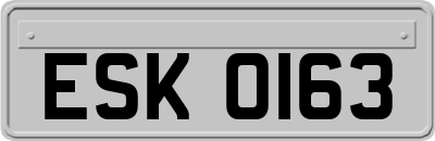 ESK0163
