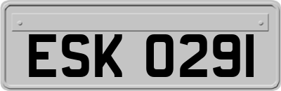 ESK0291