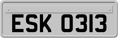 ESK0313