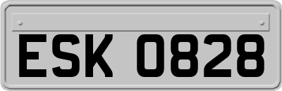 ESK0828