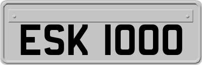ESK1000