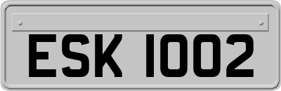 ESK1002