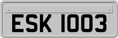 ESK1003