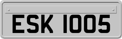 ESK1005