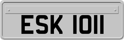 ESK1011