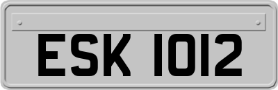 ESK1012