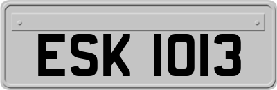 ESK1013