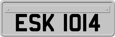 ESK1014