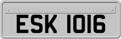 ESK1016
