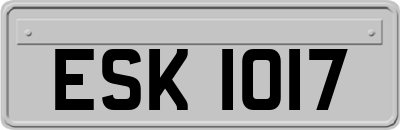 ESK1017