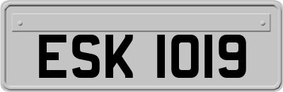 ESK1019