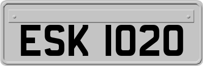 ESK1020