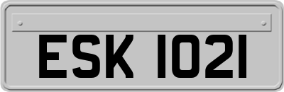 ESK1021