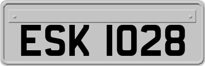 ESK1028