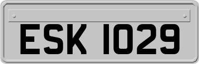 ESK1029