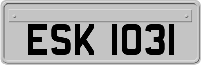 ESK1031