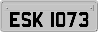 ESK1073
