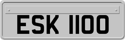 ESK1100