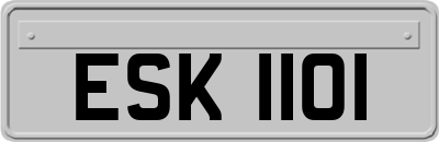 ESK1101