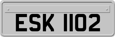 ESK1102