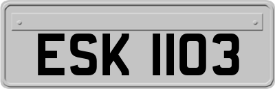 ESK1103