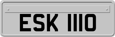 ESK1110