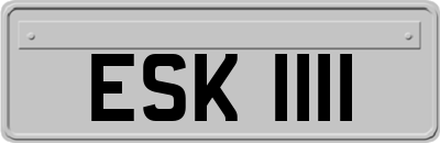 ESK1111