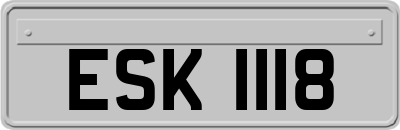 ESK1118