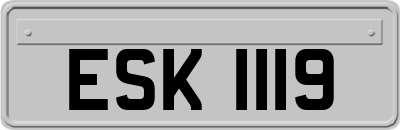 ESK1119