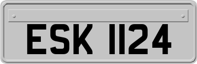 ESK1124