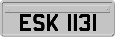 ESK1131