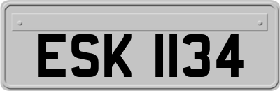 ESK1134