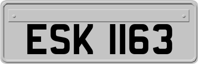 ESK1163