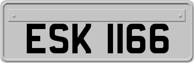 ESK1166