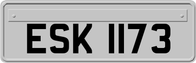 ESK1173