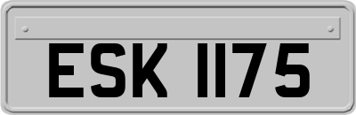 ESK1175