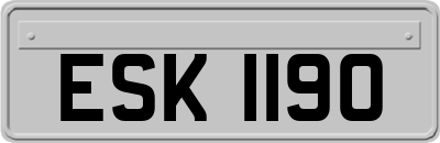ESK1190