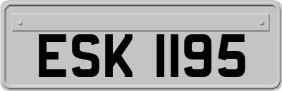 ESK1195