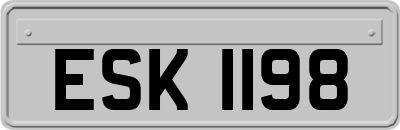 ESK1198